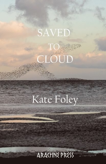 Kate Foley - Saved to Cloud, E-bok