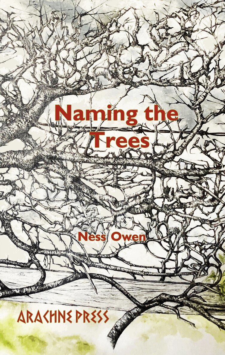 Ness Owen - Naming the Trees, Häftad