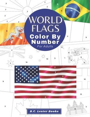 B C Lester Books - World Flags, Häftad. Tillgänglighet: Lägg i varukorg