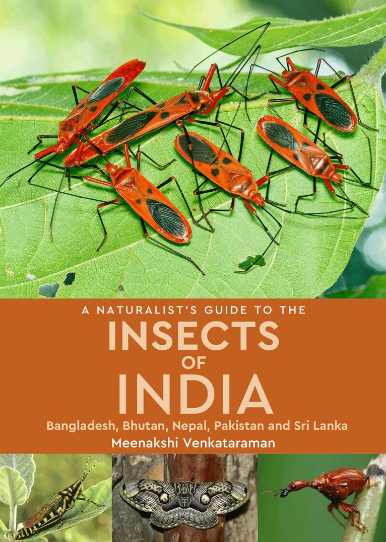 Meenakshi Venkataraman - Naturalist's Guide to the Insects of India, Häftad