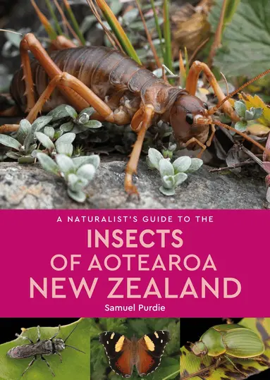 Naturalist's Guide To The Insects Of Aotearoa New Zealand