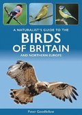 Naturalist's Guide to the Birds of Britain and Northern Europe