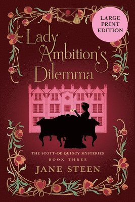 Jane Steen - Lady Ambition's Dilemma, Häftad