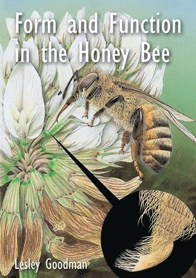 Lesley Goodman - Form and Function in the Honey Bee, Häftad
