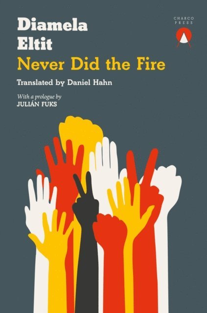 Diamela Eltit - Never Did the Fire, E-bok