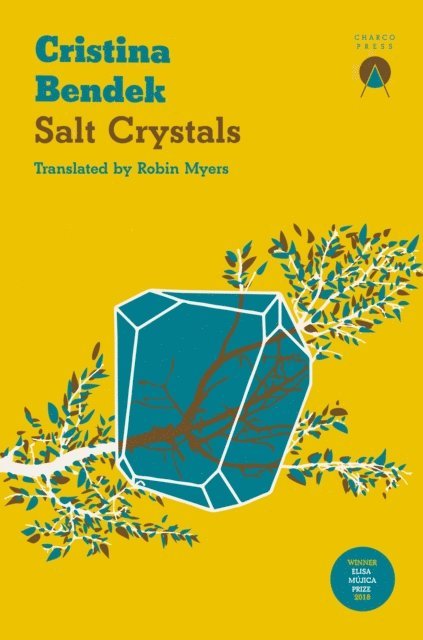 Cristina Bendek - Salt Crystals, E-bok