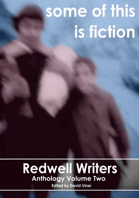 Ian Wingrove, Ian Mobbs, Lesley Hunt, Mark Humphries, M. R. Hume, Bob Goddard, Alice Bagnall, Linda Anne Atterton, David Viner - Some Of This Is Fiction, E-bok