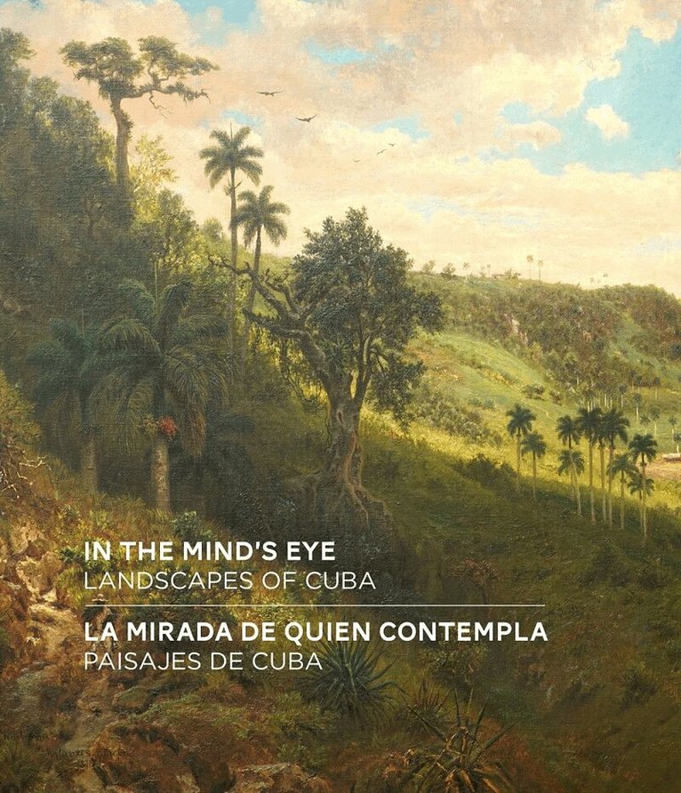 Amy Galpin - In the Mind's Eye / La Mirada de Quien Contempla, Inbunden