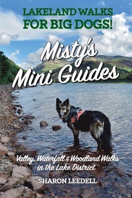 Sharon Leedell - Misty's Mini Guides, Häftad