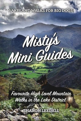 Sharon Leedell - Misty's Mini Guides, Häftad