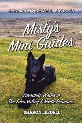 Sharon Leedell - Misty's Mini Guides, Häftad