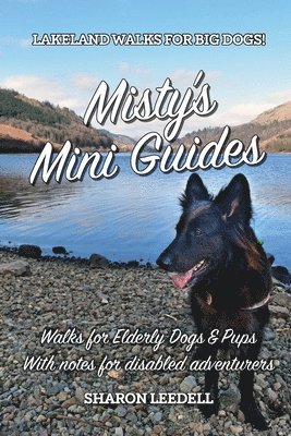 Sharon Leedell - Misty's Mini Guides, Häftad