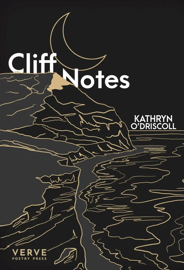 Kathryn O'Driscoll - Cliff Notes, Häftad. Tillgänglighet: Lägg i varukorg