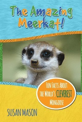 Susan Mason - Amazing Meerkat!, Häftad