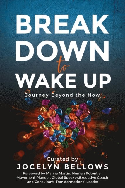 Arlene Wallace, Gurleen Khokhar, Kevin Lockwood, Brice Hancock, Tomas Garza, Lisa Berry, Jason Kendrick, Renelle McPherson, Patrick Cooke, Geoff Laughton, Dannie-Lu Carr, Paul Honeycutt, Stephan Neff, Dawn Bates, Marcia Martin, Jocelyn Bellows - Break Down to Wake Up: Journey Beyond the Now, E-bok