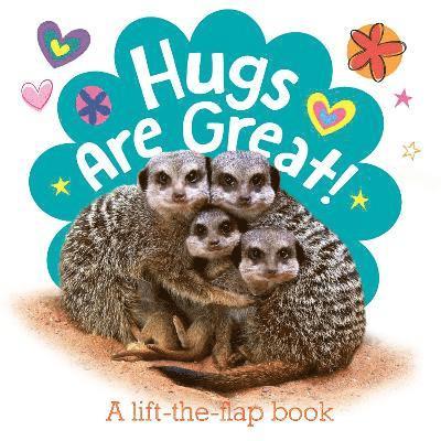 Hugs are Great!, Kartonnage