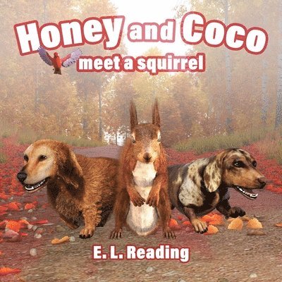 E. L. Reading - Honey and Coco meet a squirrel, Häftad. Tillgänglighet: Tillfälligt slut