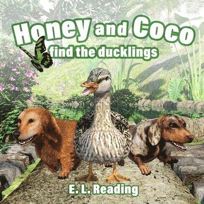 E. L. Reading - Honey and Coco find the ducklings, Häftad. Tillgänglighet: Tillfälligt slut