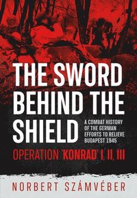 Sword Behind the Shield