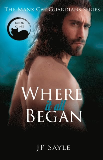 JP Sayle - Where it all Began, E-bok
