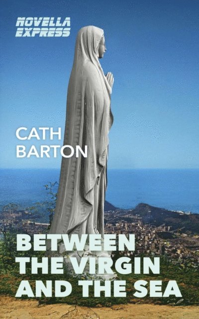 Cath Barton - Between the Virgin and the Sea, E-bok