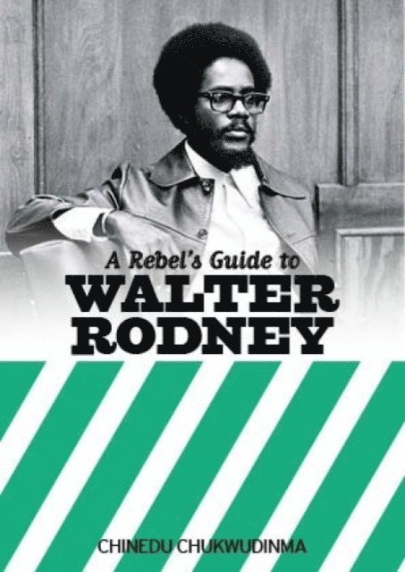Chinedu Chukwudinma - Rebel's Guide to Walter Rodney, E-bok