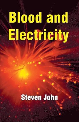 Steven John - Blood and Electricity, Häftad. Tillgänglighet: Lägg i varukorg