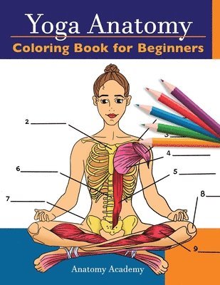 Anatomy Academy - Yoga Anatomy Coloring Book for Beginners, Häftad. Tillgänglighet: Lägg i varukorg