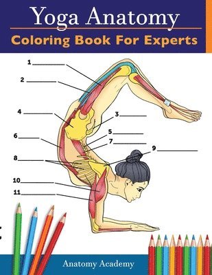 Anatomy Academy - Yoga Anatomy Coloring Book for Experts, Häftad