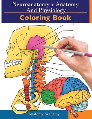 Neuroanatomy + Anatomy and Physiology Coloring Book av Clement Harrison