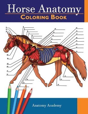 Anatomy Academy - Horse Anatomy, Häftad