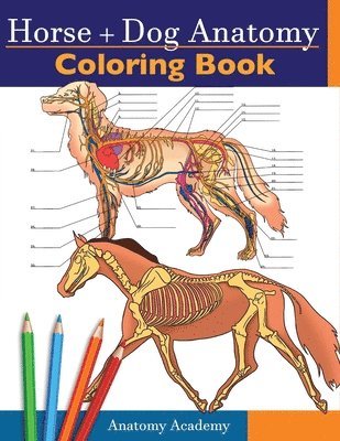 Anatomy Academy - Horse + Dog Anatomy Coloring Book, Häftad