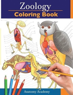 Anatomy Academy - Zoology Coloring Book, Häftad. Tillgänglighet: Lägg i varukorg