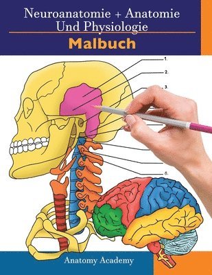 Clement Harrison - Neuroanatomie + Anatomie und Physiologie Malbuch, Häftad. Tillgänglighet: Lägg i varukorg