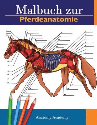 Anatomy Academy - Malbuch zur Pferdeanatomie, Häftad. Tillgänglighet: Lägg i varukorg