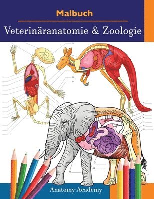 Anatomy Academy - Malbuch Veterinäranatomie & Zoologie, Häftad. Tillgänglighet: Lägg i varukorg