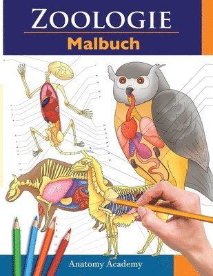 Anatomy Academy - Zoologie Malbuch, Häftad. Tillgänglighet: Lägg i varukorg