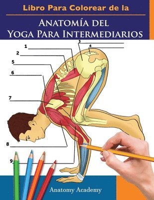 Anatomy Academy - Libro Para Colorear de la Anatomía del Yoga Para Intermediarios, Häftad