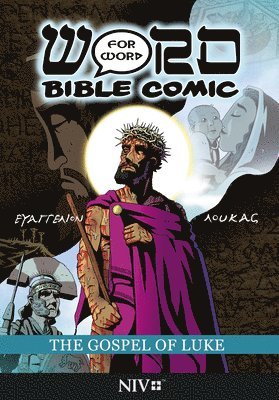 Simon Amadeus Pillario - Gospel of Luke: Word for Word Bible Comic, Häftad