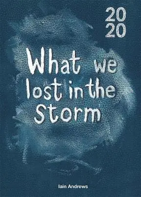 Iain Andrews - What We Lost In The Storm, Häftad. Tillgänglighet: Lägg i varukorg