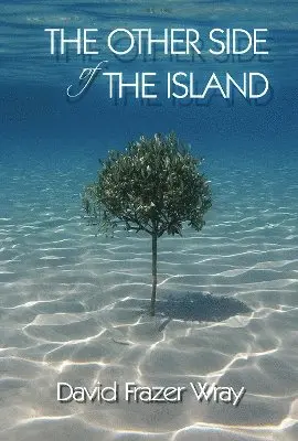 David Frazer Wray - Other Side Of The Island, Häftad. Tillgänglighet: Lägg i varukorg