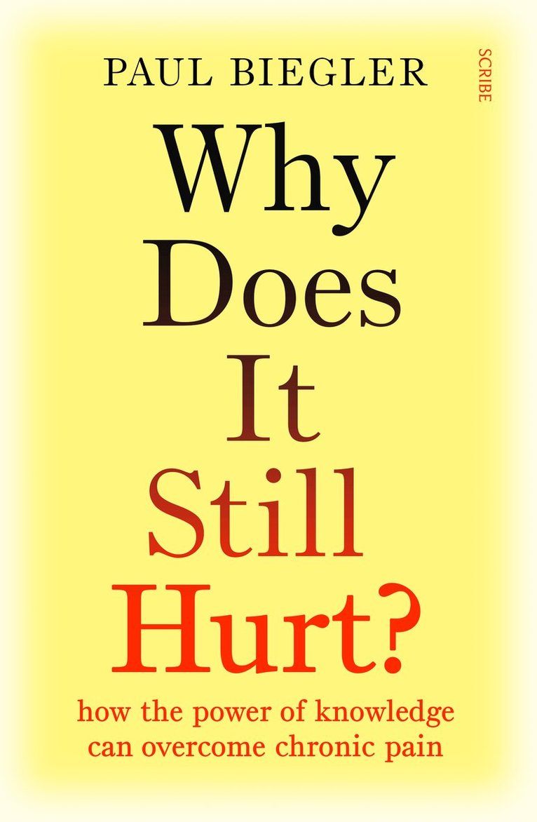 Paul Biegler - Why Does It Still Hurt?, Häftad