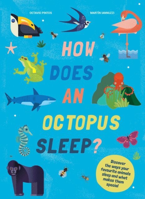 Octavio Pintos, Martin Iannuzzi - How Does An Octopus Sleep?, E-bok