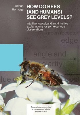 Adrian Horridge - How Do Bees (and Humans) See Grey Levels?, Häftad
