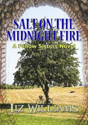 Salt on the Midnight Fire by Liz Williams, Williams Liz