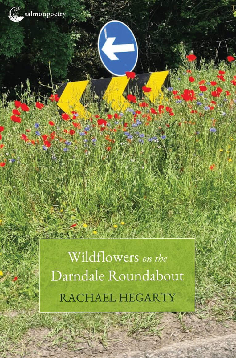 Rachael Hegarty - Wildflowers on the Darndale Roundabout, Häftad