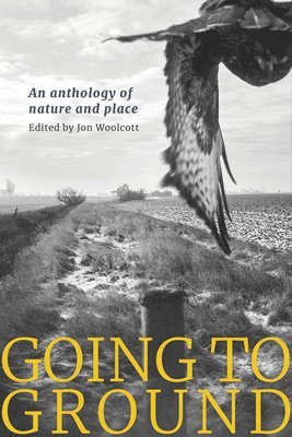 Jon Woolcott - Going to Ground, Häftad