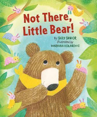 Suzy Senior - Not There Little Bear, Inbunden