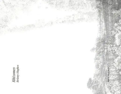 Briony Hughes - Rhizomes, Häftad. Tillgänglighet: Lägg i varukorg