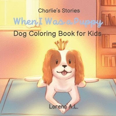 Lorena A L - Charlie's Stories, Häftad